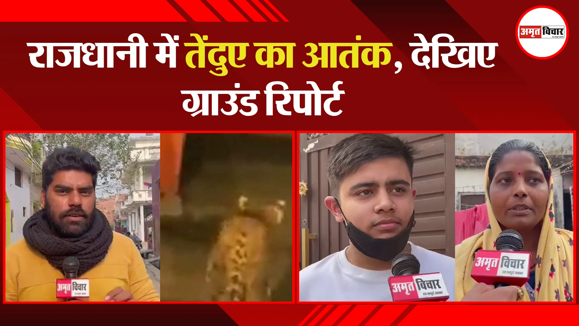 लखनऊ: राजधानी में तेंदुए का आतंक, देखिए ग्राउंड रिपोर्ट