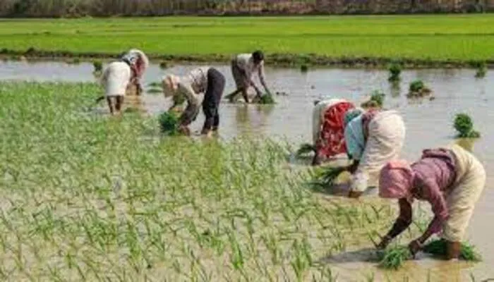 अयोध्या: प्रस्तावित रिंग रोड से जुड़े किसान 10 जनवरी तक दर्ज करा सकते हैं आपत्ति