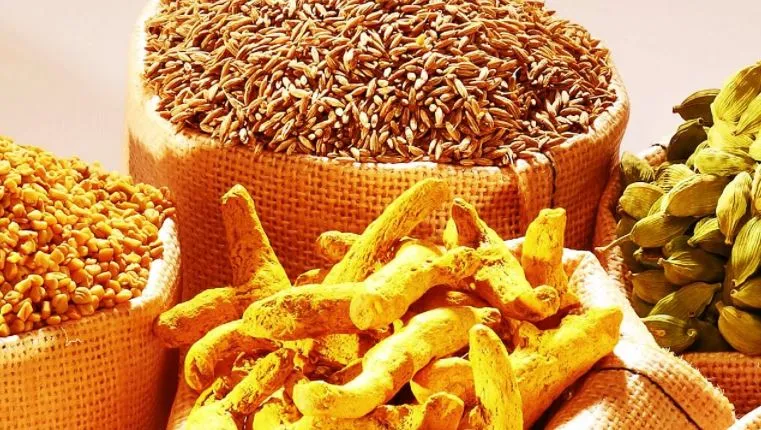 मिर्च, अदरक, हल्दी, जीरा उत्पादन में भारत की बड़ी छलांग, रिकॉर्ड 16 लाख टन का हुआ एक्सपोर्ट