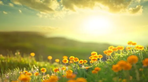 जागो फिर एक बार, प्यार जगाते हुए हारे सब तारे तुम्हें…