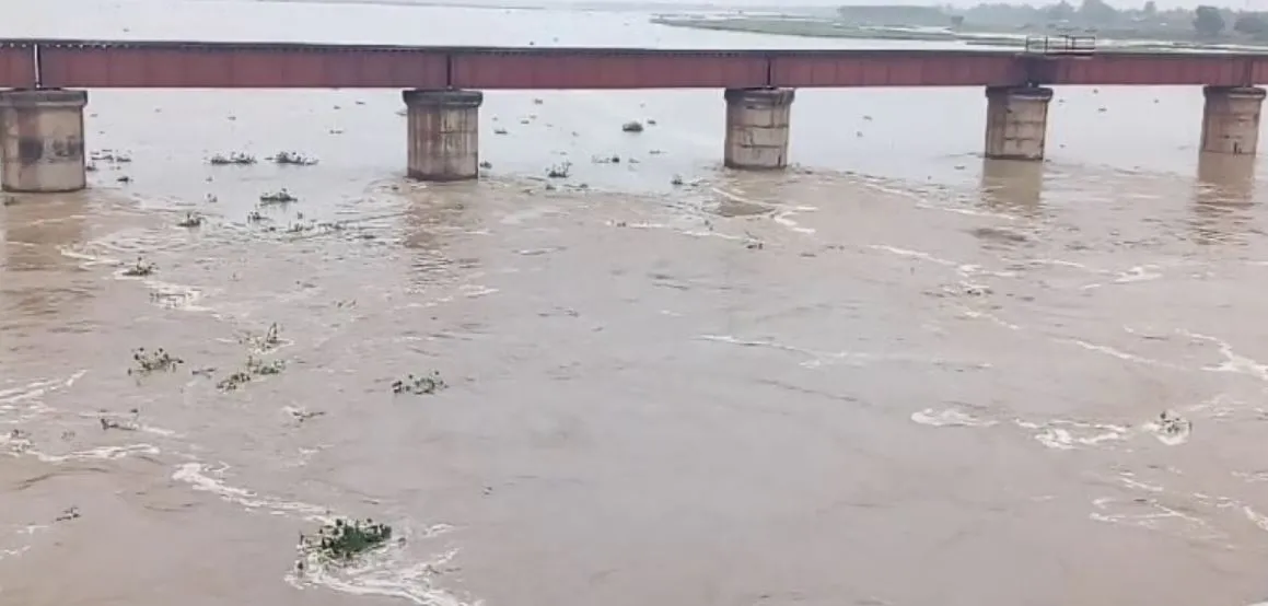 रामपुर: रामगंगा में जहरीला केमिकल छोड़ रहा रेडिको खेतान का नाला