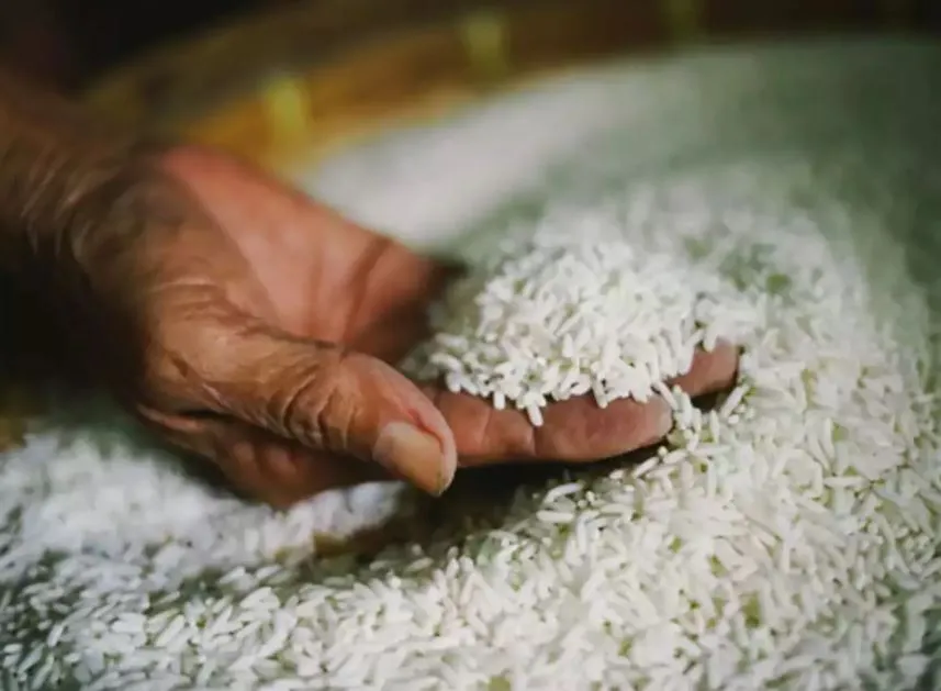 बरेली: 3.61 करोड़ का चावल हड़पा, राइस मिल सीज