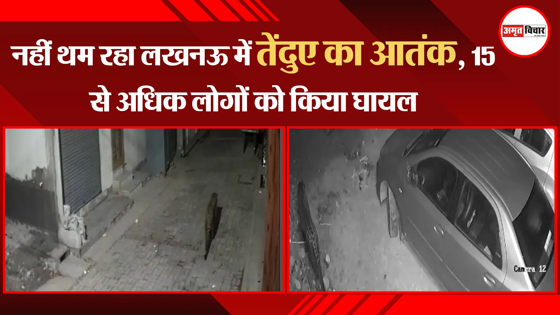 लखनऊ: नहीं थम रहा तेंदुए का आतंक, 15 से अधिक लोगों को किया घायल