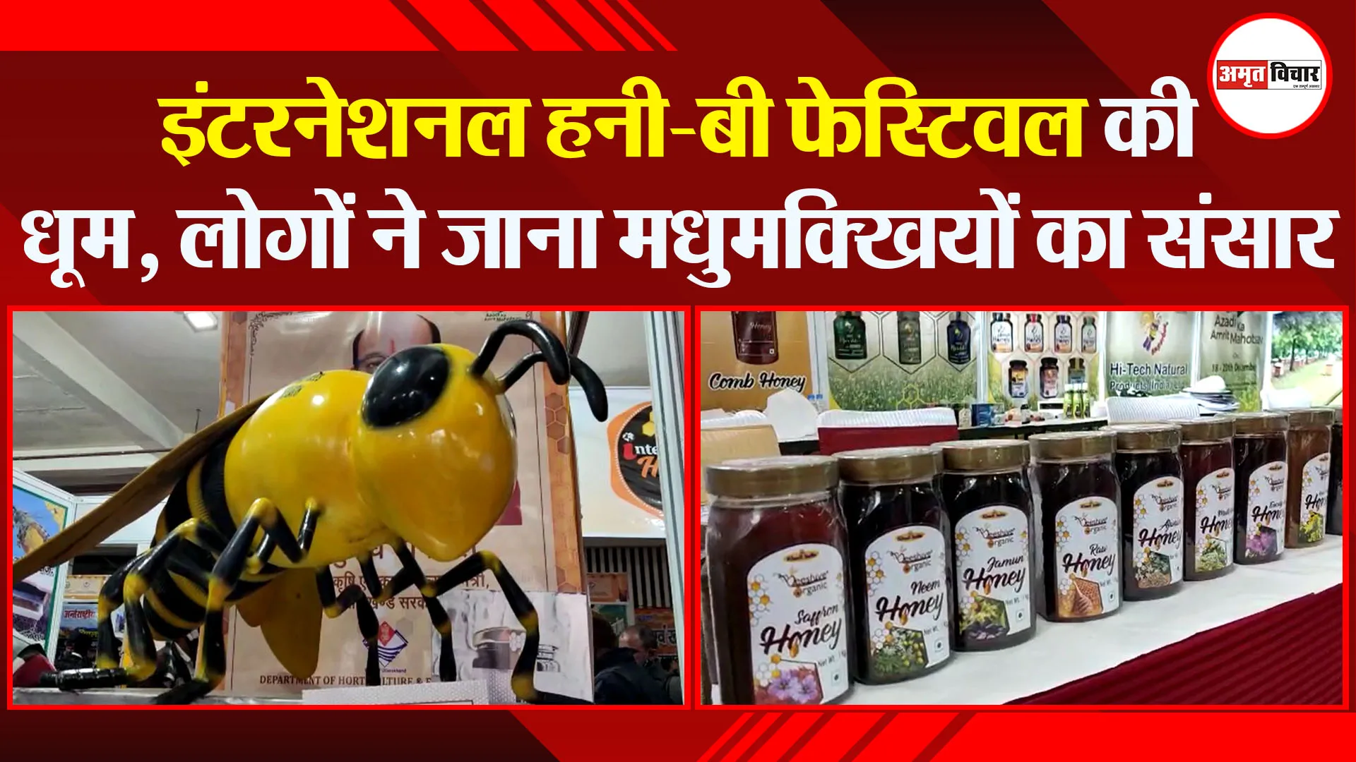 हल्द्वानी: इंटरनेशनल हनी-बी फेस्टिवल की धूम, लोगों ने जाना मधुमक्खियों का संसार