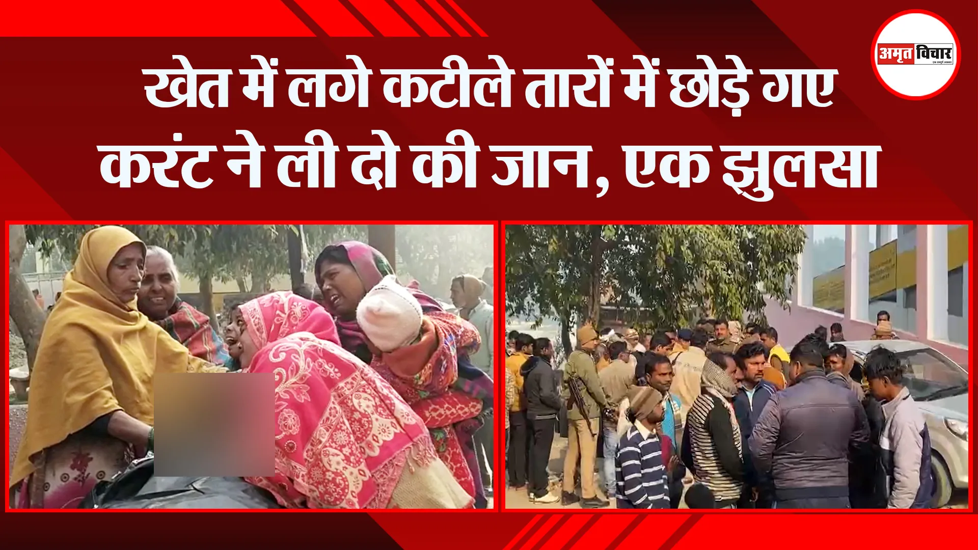 शाहजहांपुर: खेत में लगे कटीले तारों में छोड़े गए करंट ने ली दो की जान, एक झुलसा