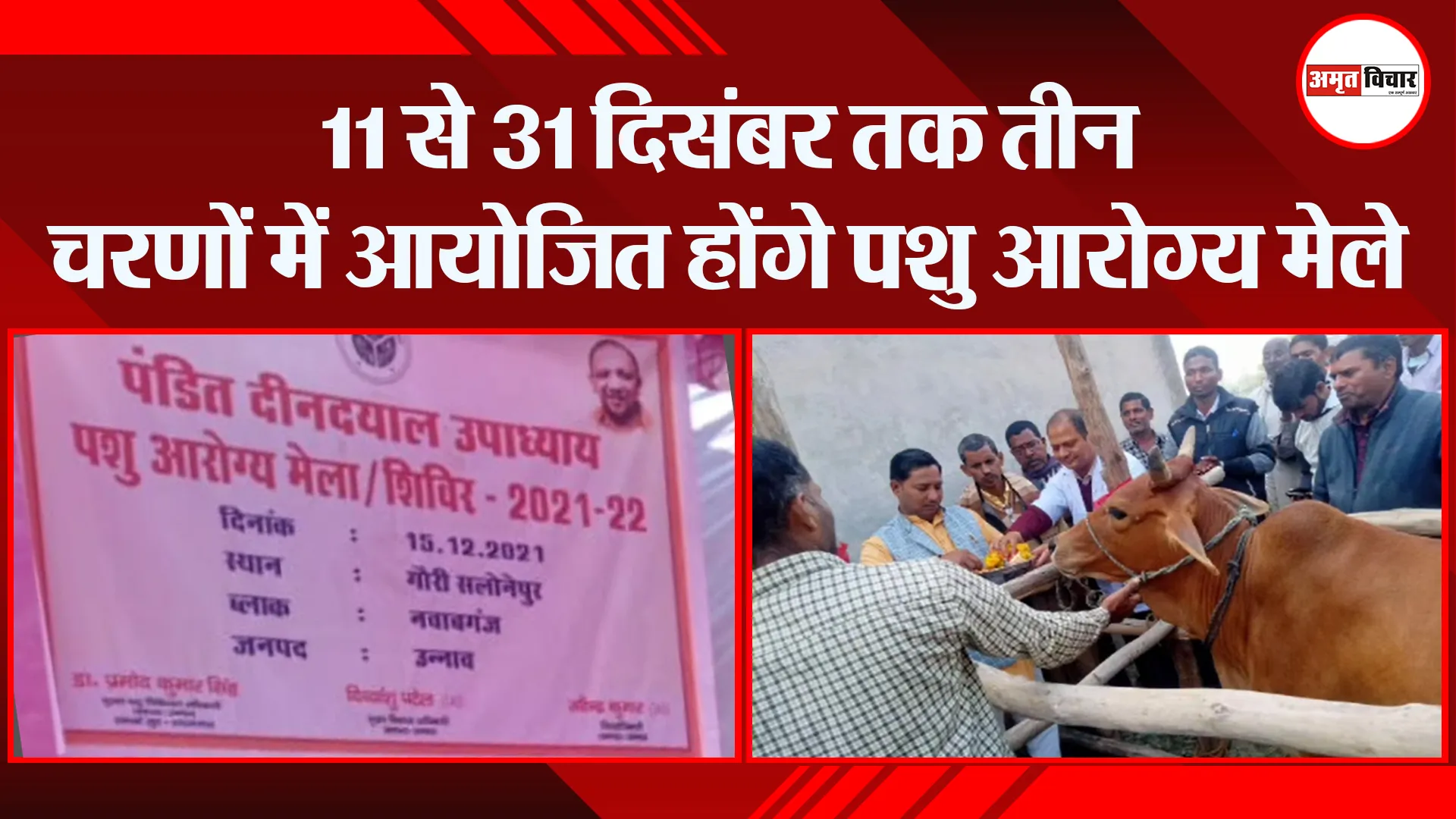 उन्नाव: 11 से 31 दिसंबर तक तीन चरणों में आयोजित होंगे पशु आरोग्य मेले