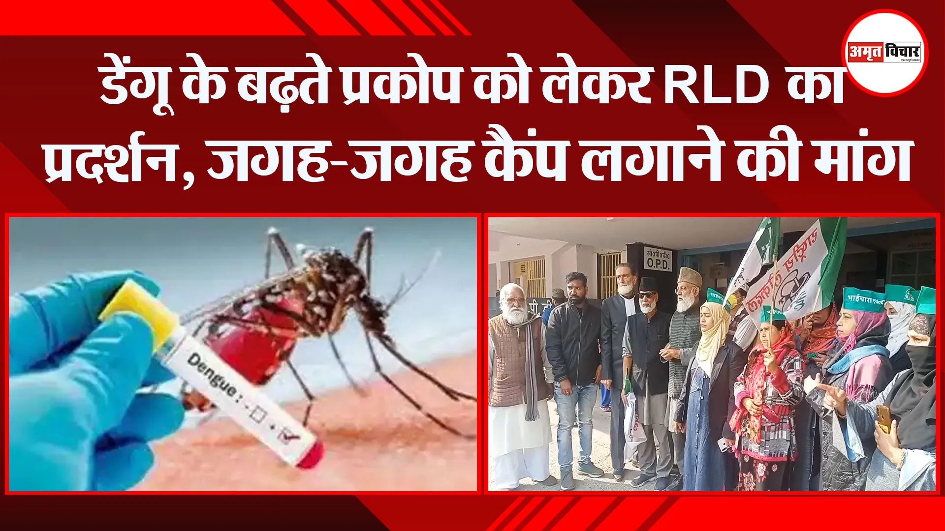 मुरादाबाद: डेंगू के बढ़ते प्रकोप को लेकर RLD का प्रदर्शन, जगह-जगह कैंप लगाने की मांग