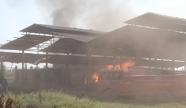 रामपुर : गणपति प्लाईवुड फैक्ट्री में भीषण आग से भारी नुकसान