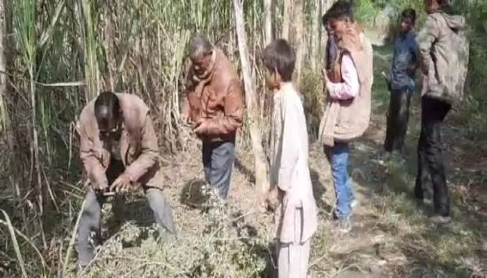 पुलिस व वन विभाग नहीं बरामद कर पाया मारे गए हिरन का शव, जांच जारी