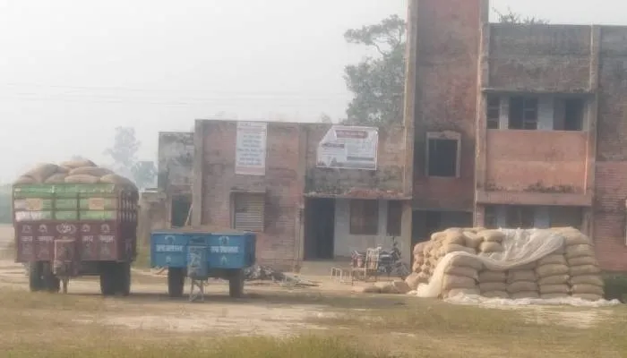 हरदोई: सामुदायिक स्वास्थ्य केंद्र में चल रहा है धान क्रय केंद्र, चरागाह बना अस्पताल परिसर