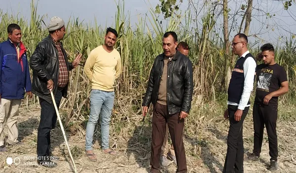 रामपुर : पिंजरा लेकर पहुंची वन विभाग की टीम, बैरंग लौटी