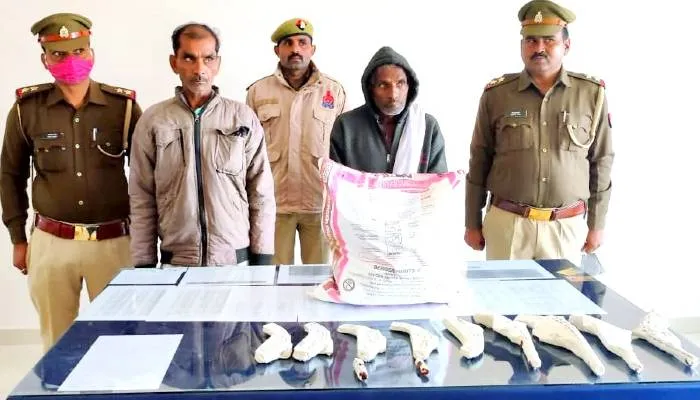 सीतापुर: पुलिस ने पकड़ा अवैध असलहों का जखीरा, दो शातिर गिरफ्तार
