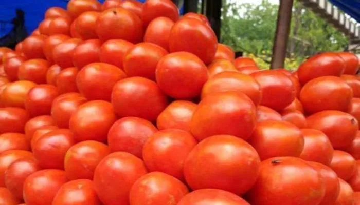 लखनऊ: टमाटर के साथ अन्य हरी सब्जियों के दामों में आई गिरावट, जानें आज का रेट