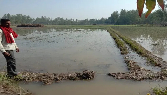 रायबरेली: माइनर कट जाने से 20 बीघा गेहूं की फसल जलमग्न, ग्रामीणों ने लगाया ये आरोप…