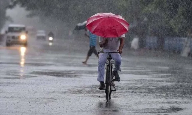 जयपुर सहित राजस्थान के कई इलाकों में बारिश, कोहरे एवं सर्द हवाओं से जनजीवन हुआ प्रभावित