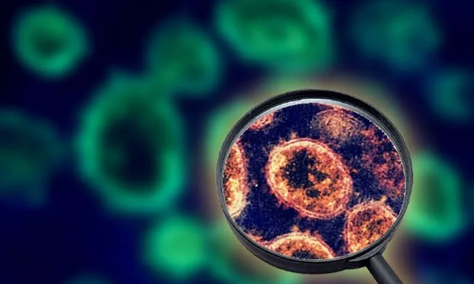 ओमीक्रोन का कहर: तमिलनाडु में एक दिन में मिले 33 केस, लोगों में दहशत