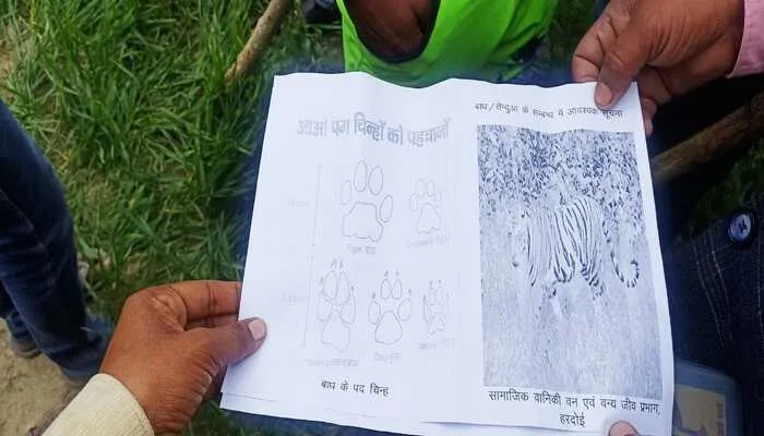 लखनऊ के बाद अब हरदोई में दिखा तेंदुआ, सतर्क हुए ग्रामीण