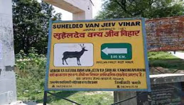 बलरामपुर: विदेशी पक्षियों के कलरव से गुंजायमान है सोहेलवा वन्य जीव विहार