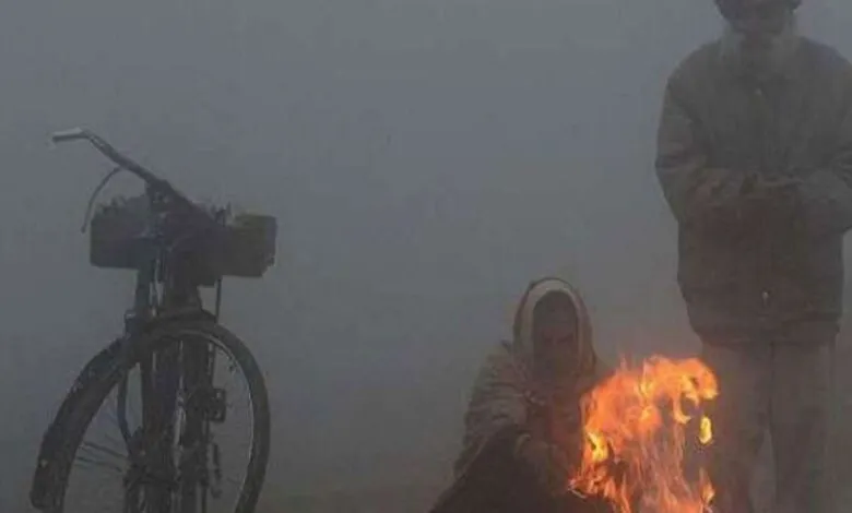 पंजाब और हरियाणा में कड़ाके की सर्दी, न्यूनतम तापमान 2 डिग्री सेल्सिय रहा