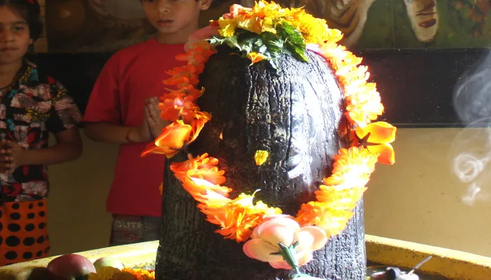 झांसी में भाजपाइयों ने किया शिव मंदिरों में जलाभिषेक