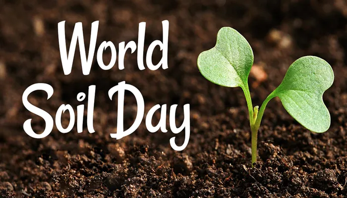 World Soil Day 2021: जानें विश्व मृदा दिवस का इतिहास, मिलकर बढ़ाएं मिट्टी की उत्पादकता