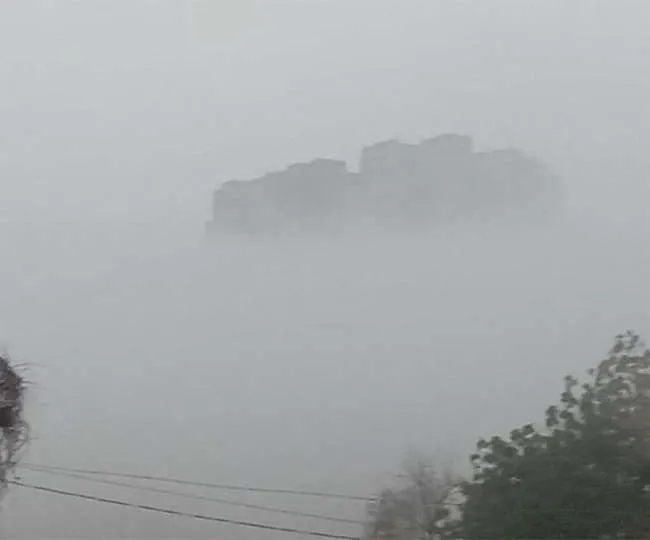 राजस्थान में कोहरे और बारिश का दौर जारी, सर्द हवाओं से जनजीवन हुआ प्रभावित