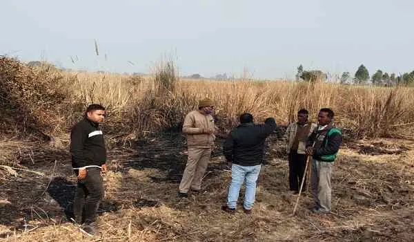 मुरादाबाद : दबंगों ने जोत डाली वन विभाग की जमीन, झाड़ियों में लगाई आग