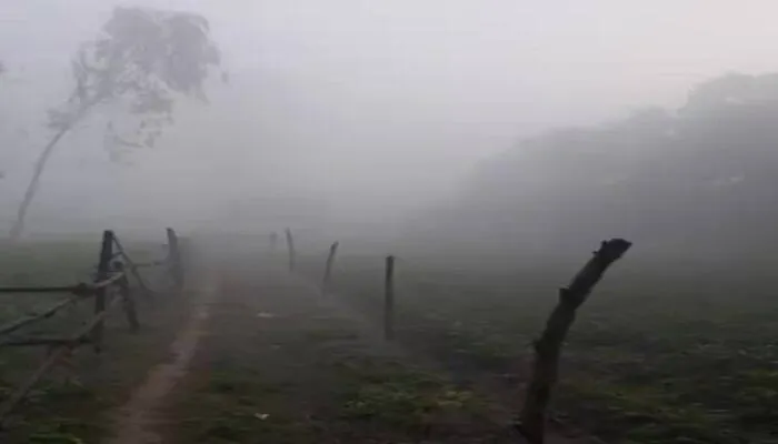 उत्तर की बर्फीली हवा से भीषण सर्दी का काउंटडाउन शुरू, 25 दिसंबर से तेजी से गिरेगा तापमान