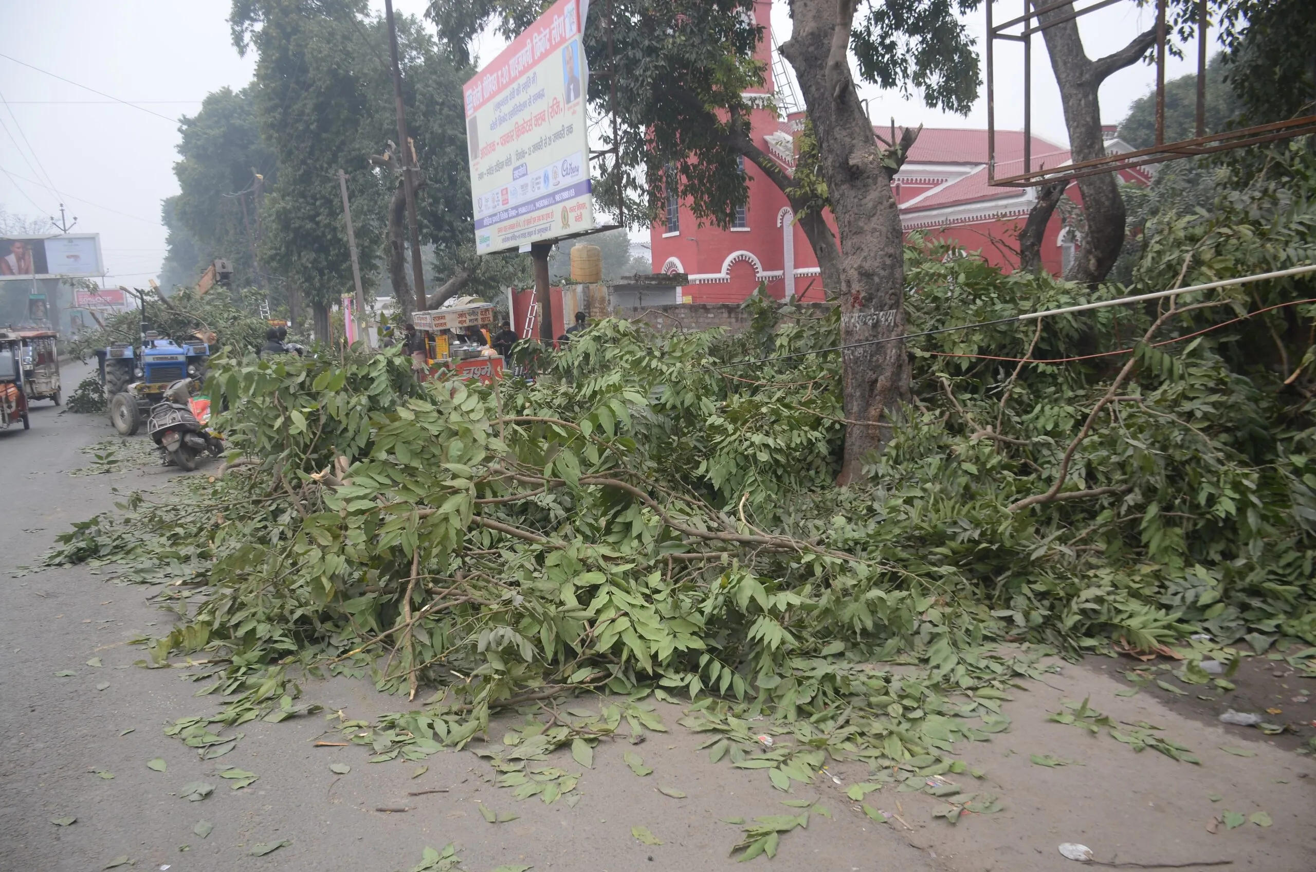 बरेली: ट्रांसलोकेट होने से बच जाएंगे एक दर्जन से अधिक पेड़