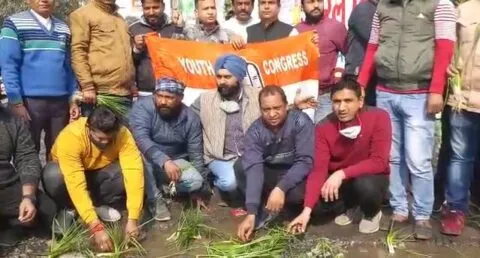 हल्द्वानी की खस्ताहाल सड़कों के खिलाफ युवा कांग्रेस का अनोखा प्रदर्शन, रोपे पौधे