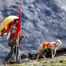 मां नंदा राजजात यात्रा , एशिया की सबसे लंबी पैदल यात्रा और गढ़वाल-कुमाऊं की सांस्कृतिक विरासत