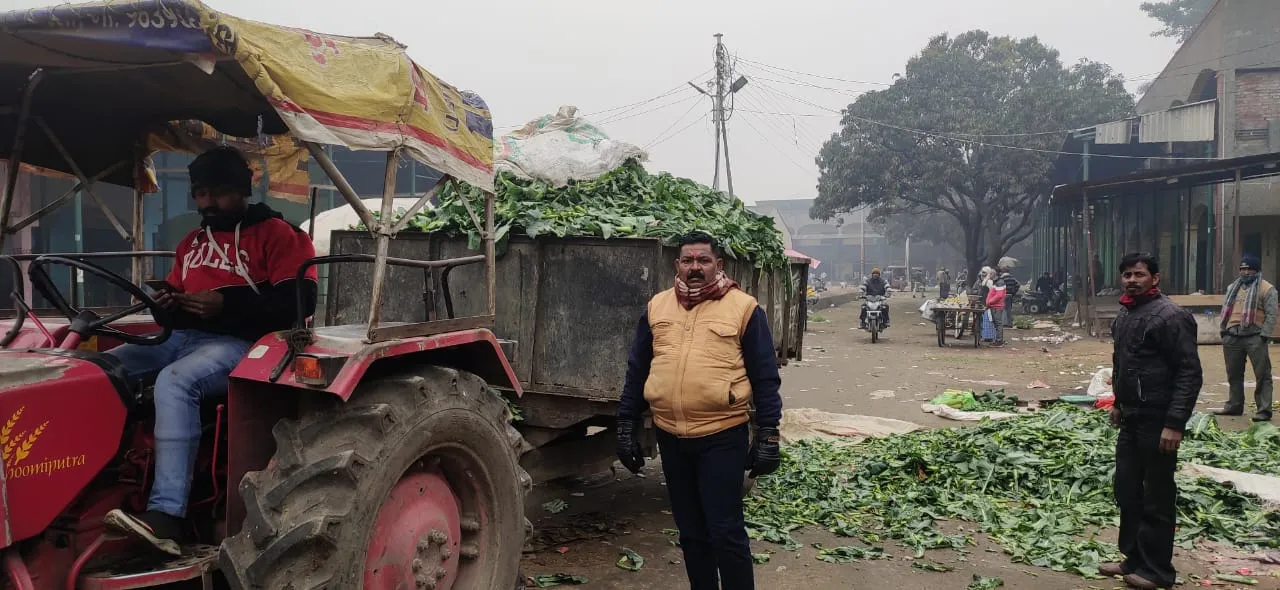 बरेली: मंडी की हरी सब्जियों की पत्तियां खाएंगी गोशाला की गायें