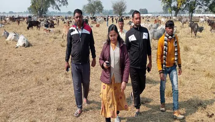 रायबरेली: गोशाला में लगी भीषण आग, फायर ब्रिगेड के साहस से बचे मवेशी…
