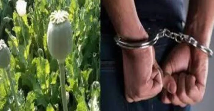 बरेली: तस्कर छोटे प्रधान, उस्मान के बाद अब अफीम तस्करों की संपत्ति हुई फ्रीज