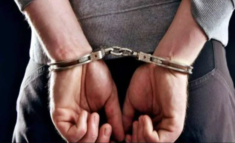 दिल्ली में हथियारों की तस्करी करने वाले गिरोह का भंडाफोड़, एक गिरफ्तार