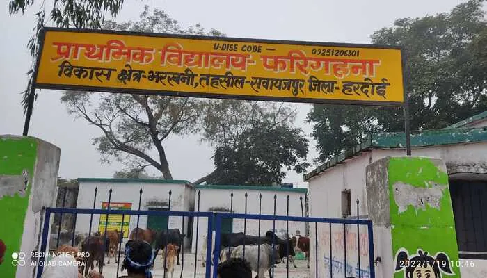 हरदोई: ग्रामीणों ने अन्ना मवेशियों को पकड़कर स्कूल में किया बंद, ये रही वजह…