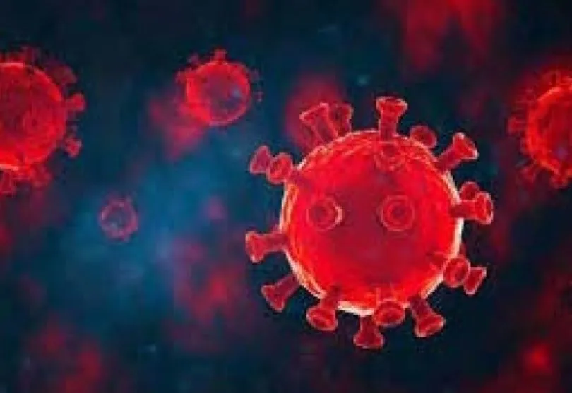 देश में पिछले 24 घंटों में 2 लाख 38 हजार नए केस, 310 मरीजों की मौत