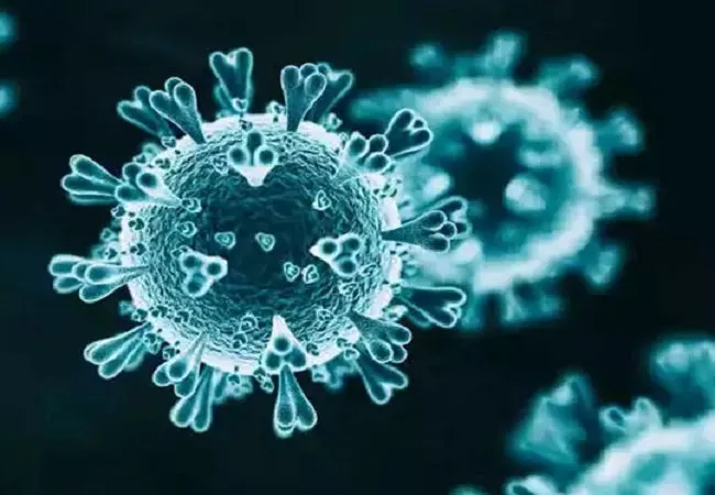 विश्व में कोरोना संक्रमितों की संख्या 34.64 करोड़ के पार, 55.84 लाख लोगों ने गंवाई जान