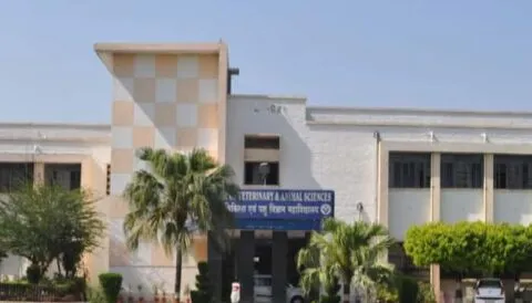 पंतनगर: पशु चिकित्सा छात्रों को डिग्री पूरी होने से पहले मिला नौकरी का ऑफर
