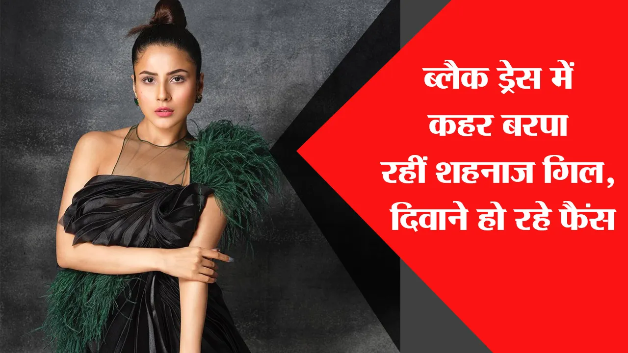 ब्लैक ड्रेस में कहर बरपा रहीं Shehnaaz Gill, दिवाने हो रहे फैंस