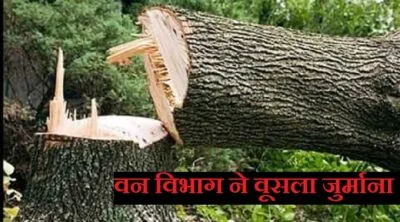 हल्द्वानी: वन विभाग ने नौ माह में सीज किए 305 वाहन, 67 लाख रुपये वसूला जुर्माना