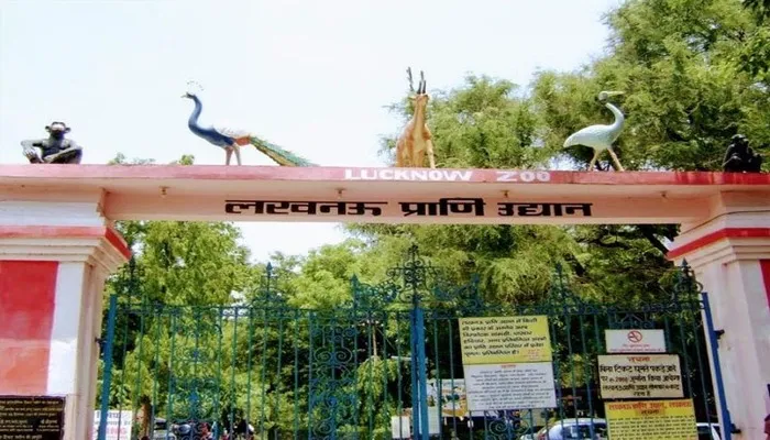 लखनऊ: कोरोना व ठंड के चलते सैलानियों को तरस रहा चिड़ियाघर, ये हो गई हालत…
