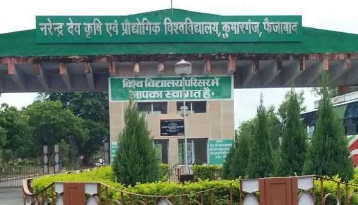 अयोध्या: समयानुसार रहेगा आचार्य नरेंद्र देव कृषि विश्वविद्यालय का शिक्षा सत्र…