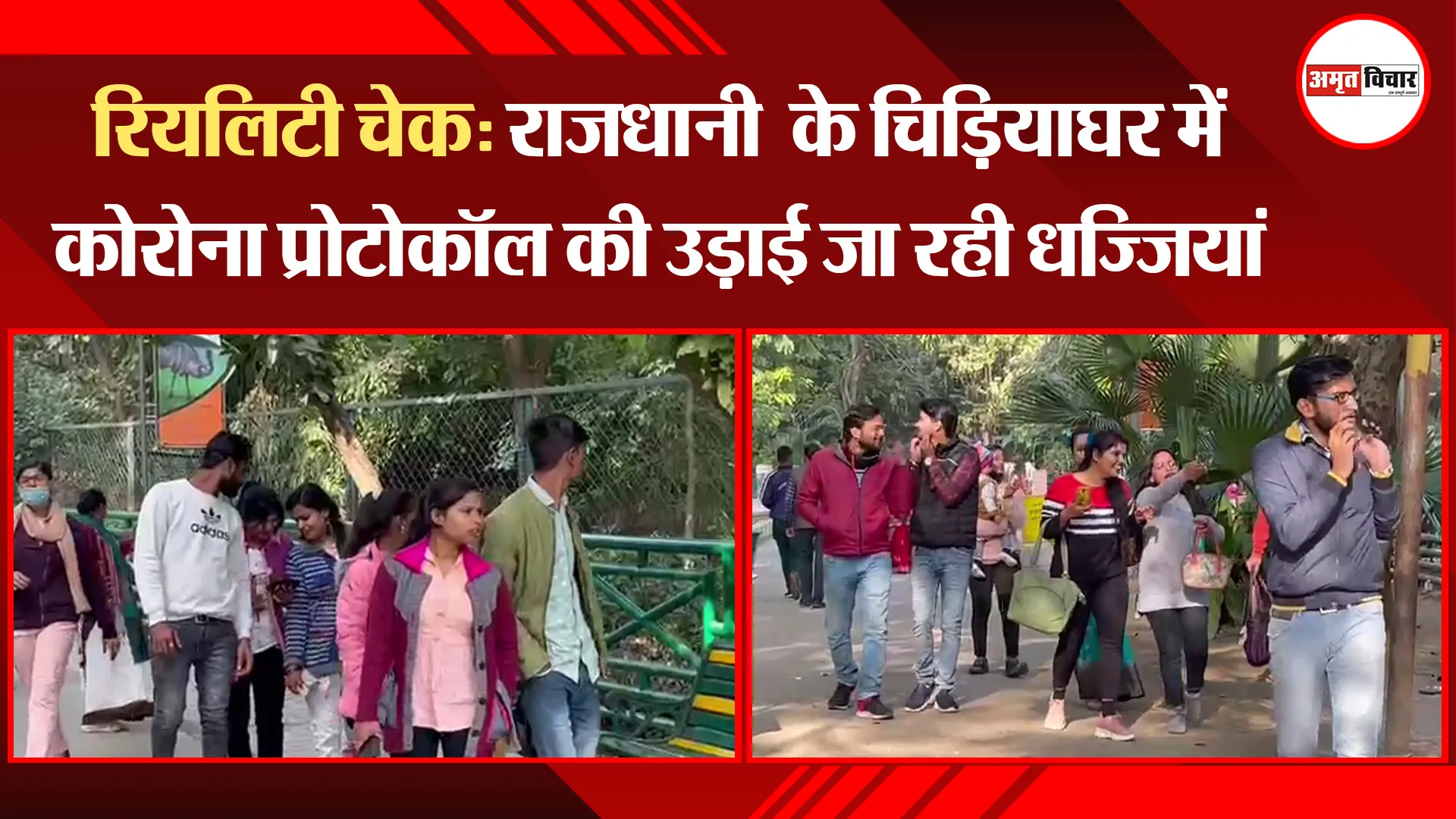 रियलिटी चेक: राजधानी के चिड़ियाघर में कोरोना प्रोटोकॉल की उड़ाई जा रही धज्जियां