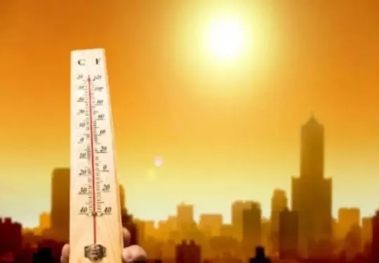 भारत में 120 साल बाद पांचवी बार 2021 में पड़ी सबसे अधिक गर्मी…