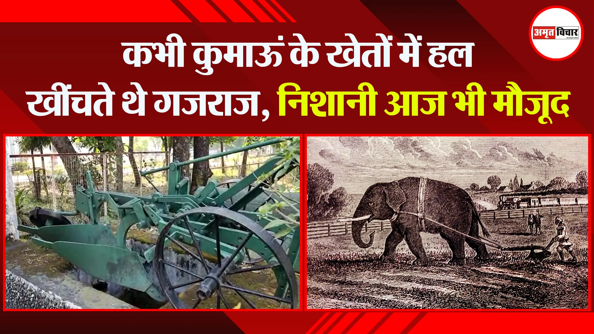 हल्द्वानी: कभी कुमाऊं के खेतों में हल खींचते थे गजराज, निशानी आज भी मौजूद