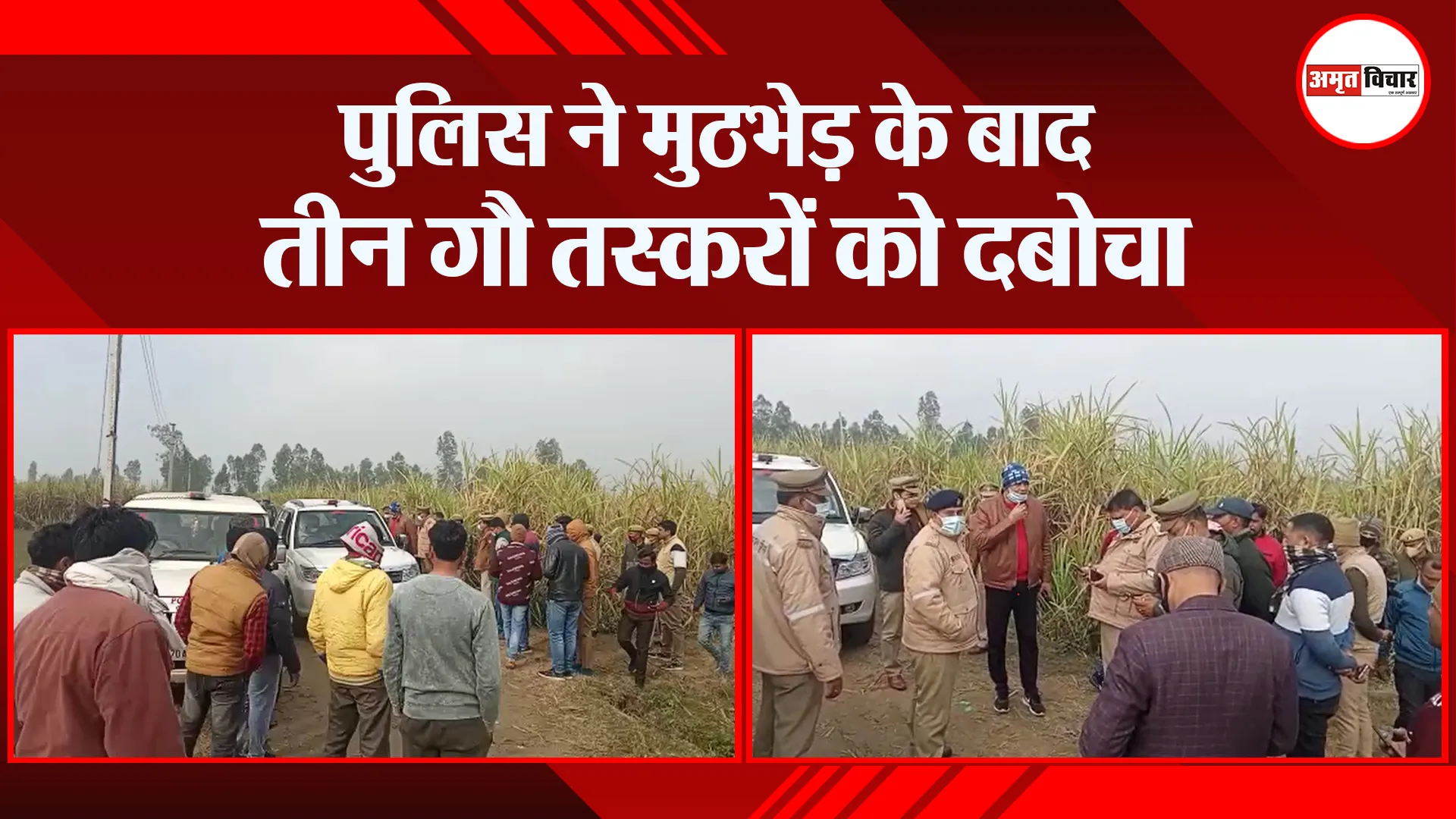 संभल: पुलिस ने मुठभेड़ के बाद तीन गौ तस्करों को दबोचा