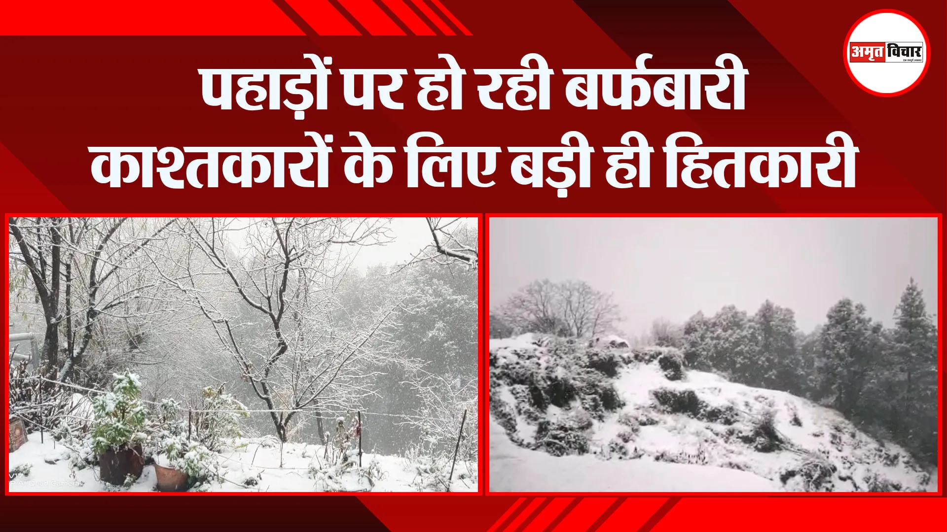 हल्द्वानी: पहाड़ों पर हो रही बर्फबारी काश्तकारों के लिए बड़ी ही हितकारी