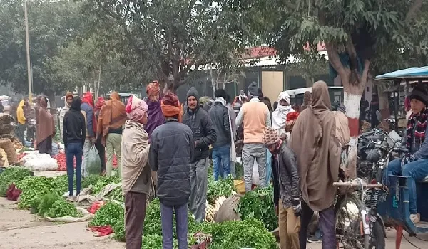 अमरोहा : सब्जी मंडी में बिना मास्क के दिखे लोग, सोशल डिस्टेंसिंग की उड़ीं धज्जियां