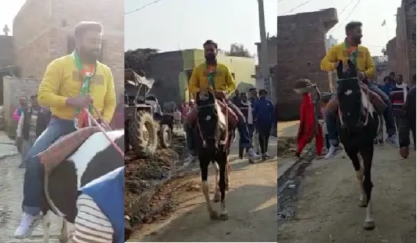 रामपुर : मिलक-शाहबाद के कांग्रेस प्रत्याशी घोड़े पर सवार कर रहे प्रचार